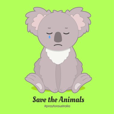 Bebek Koala Üzgün Hissediyor. Hayvanları kurtar. Avustralya için dua et. Yavru hayvan