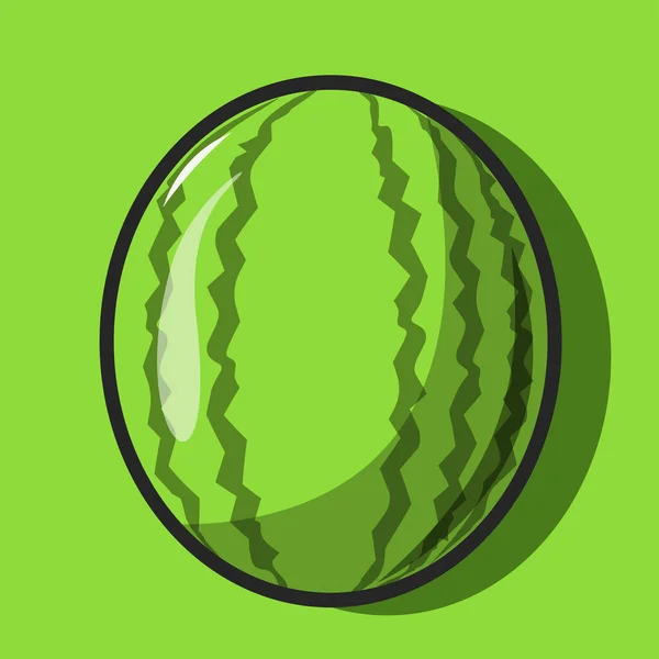 Векторная Иллюстрация Свежего Арбуза Зеленом Фоне Здоровое Питание — стоковый вектор
