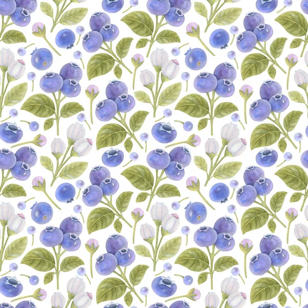 Watercolor Seamless Pattern Flowers Blueberries Leaves Light Background Bright Berry — Stock Photo, Image