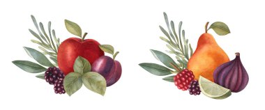 Elma, limon, armut, erik, incir ve böğürtlenli suluboya meyve kompozisyonları. Sağlıklı taze gıdanın parlak bir örneği. Vegan tasarım elementleri. Tebrik kartı, davetiye, afiş, poster için ideal.