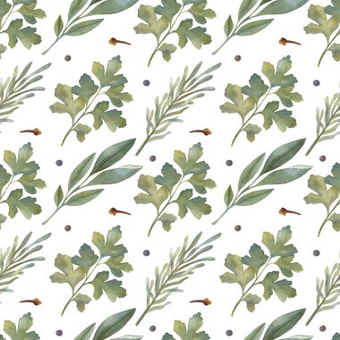 Biberiye, maydanoz, karanfil, adaçayı ve açık arkaplanda kara biberli suluboya deseni. Parlak karikatür elle boyanmış..