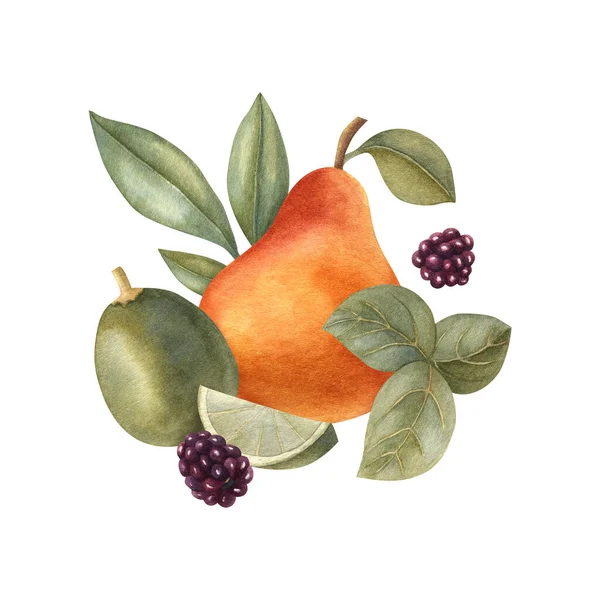 Composizione Frutta Acquerello Con Erbe Lime Pera Mora Illustrazione Luminosa — Foto Stock