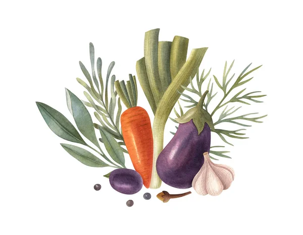 水彩蔬菜配以香草 胡萝卜和橄榄 健康新鲜食物的生动例证 理想的贺卡 邀请函 — 图库照片