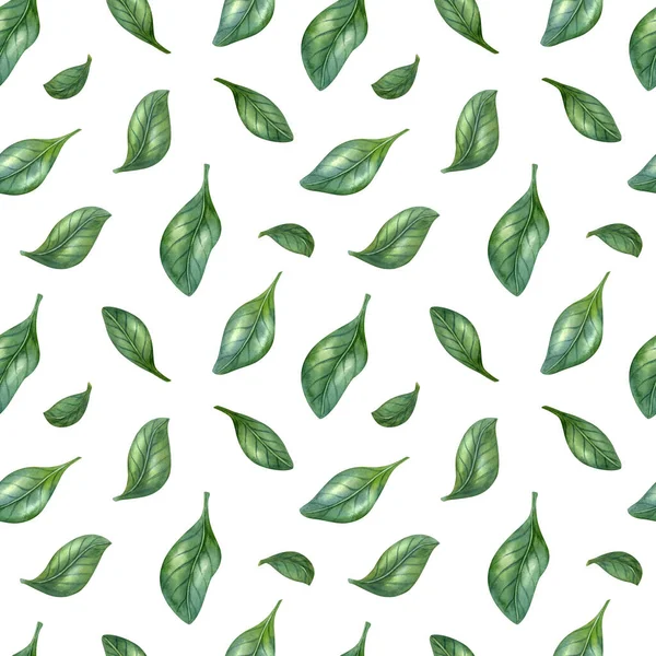 Watercolor seamless pattern with citrus leaves on the light background. Bright cartoon hand-painted illustration.