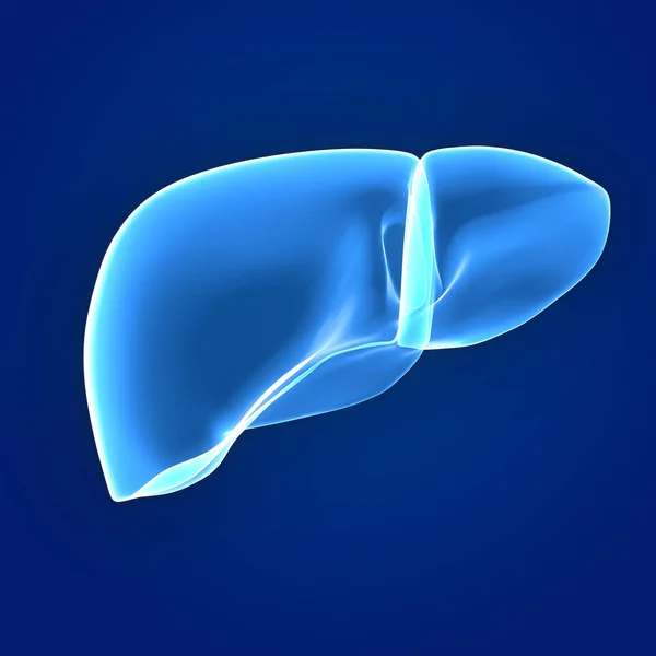 人体器官 肝脏在蓝色背景下 — 图库照片