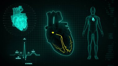 3d illüstrasyon sinyali veren ECG dalgalarının grafiksel gösterimi