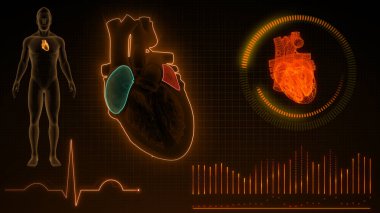 3d illüstrasyon sinyali veren ECG dalgalarının grafiksel gösterimi