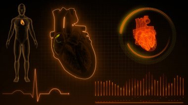 3d illüstrasyon sinyali veren ECG dalgalarının grafiksel gösterimi