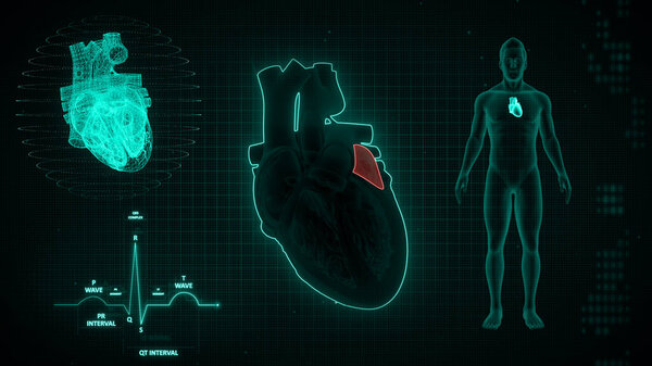 Graphical representation of ECG waves signaling 3d illustration