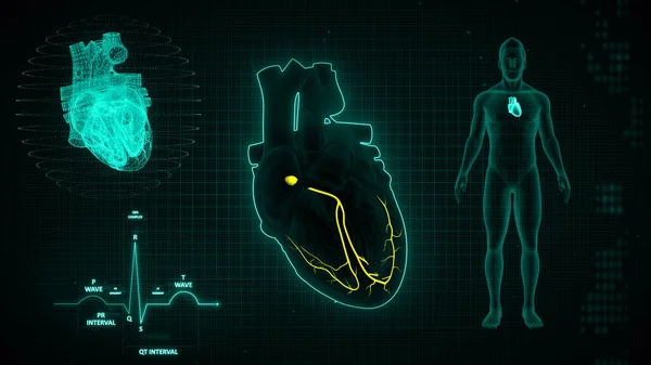 Graphical representation of ECG waves signaling 3d illustration