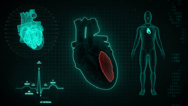 Graphical representation of ECG waves signaling 3d illustration