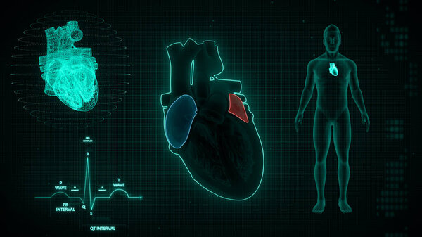 Graphical representation of ECG waves signaling 3d illustration