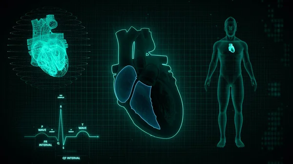 Graphical representation of ECG waves signaling 3d illustration