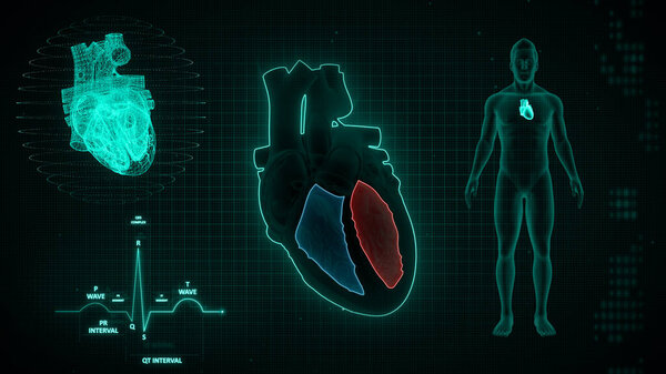 Graphical representation of ECG waves signaling 3d illustration