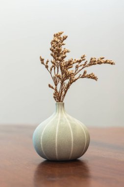 Vazodaki bulanık arka planda kurumuş veya saman çiçekleri.