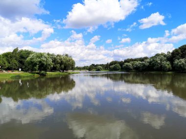Şehir parkında güneşli bir gün. Gölet, bulutlu mavi gökyüzü, yüzen ördekler ve uçan martılar, güneş ışığı.