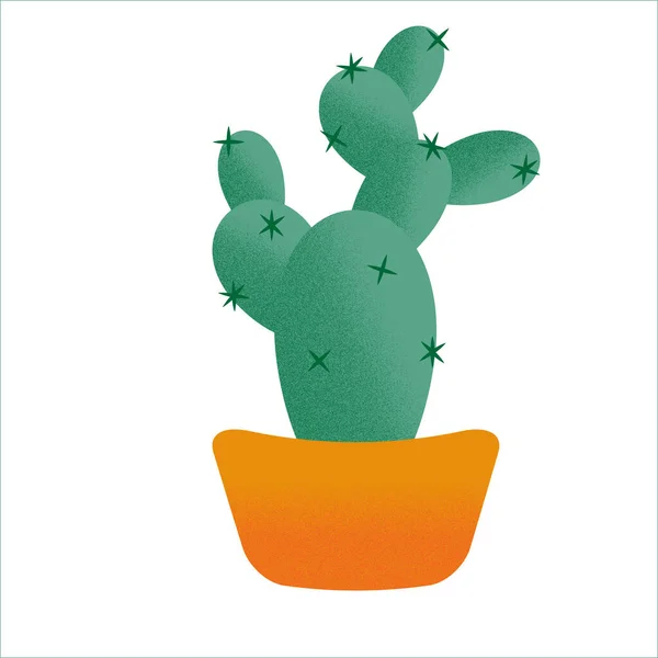 Cactus Ilustração Isolada Sobre Fundo Branco Uma Xícara Suculenta Tropical — Vetor de Stock