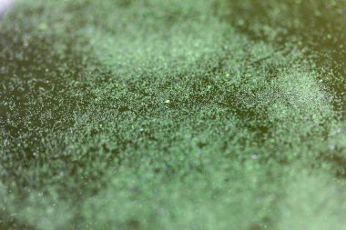 Mavi-yeşil algler, bir su kütlesi içinde, banyo yapmak yasaktır.