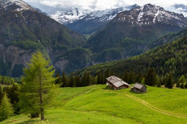 mountainous landscape with lush green field and distant huts clipart
