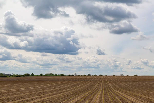 Grande Campo Vazio Preparado Para Próxima Sementeira — Fotografia de Stock