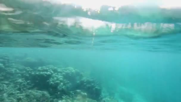 Raggi Del Sole Brillano Una Bellissima Barriera Corallina Alle Maldive — Video Stock