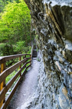 Çitleri olan dar bir patika bir geçide çıkıyor.