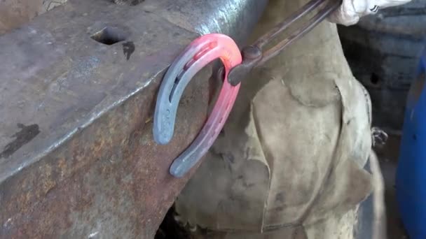 铁匠工作时 马蹄铁是用铁锹 — 图库视频影像