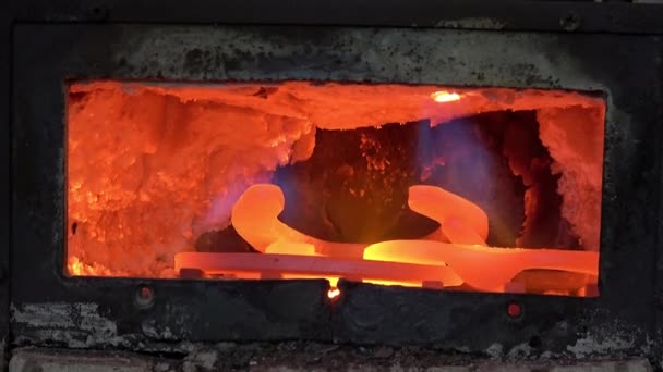 Several Horseshoes Forge — Stock Video