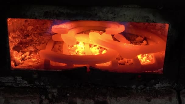 Diversi Ferri Cavallo Forno Forgia — Video Stock