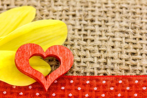 Yellow Chrysanthemum Red Heart Stock Photo
