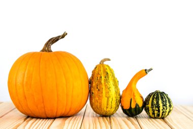 Çeşitli balkabakları ahşap tahtalarda yan yana yatar.