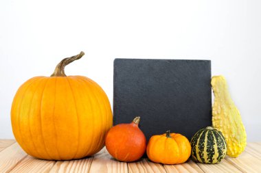 Karatahta önünde çeşitli balkabakları, bir metin için