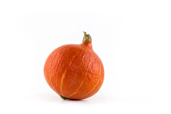 Una Sola Calabaza Hokkaido Encuentra Frente Fondo Blanco Como Cut — Foto de Stock