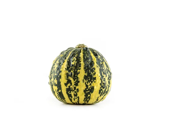 Single Pumpkin Italian Stripe Lies Front White Background Cut Outs — Stock Photo, Image