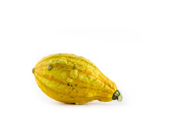 Single Pumpkin Cucurbita Lies Front White Background Cut Outs — Stock Photo, Image