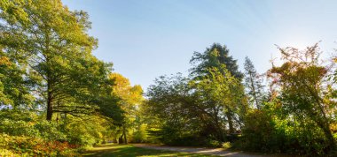 Günışığında sonbahar manzarası ve bir patika