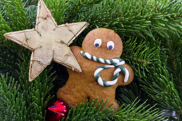 Hombre Jengibre Con Decoraciones Navideñas Muchas Ramas Abeto — Foto de Stock