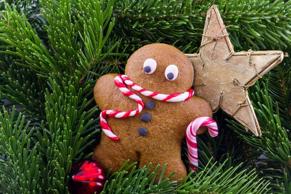 Hombre Jengibre Con Decoraciones Navideñas Muchas Ramas Abeto — Foto de Stock