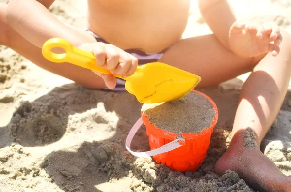 boy plays on a sandy beach with sand and a bucket on the seashore