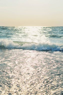 Sandy beach, sea and sky. Seascape