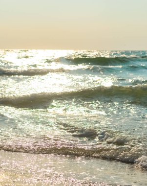 Sandy beach, sea and sky. Seascape