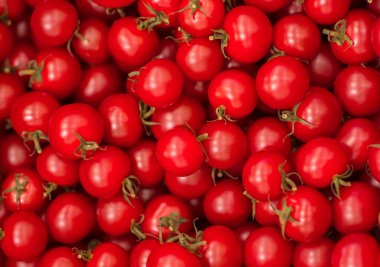 Tasty red tomatoes. Agriculture and agriculture. (selective focus)