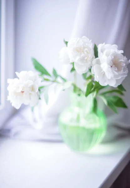 Trois Pivoines Blanches Dans Vase Vert Sur Fond Clair Flou — Photo