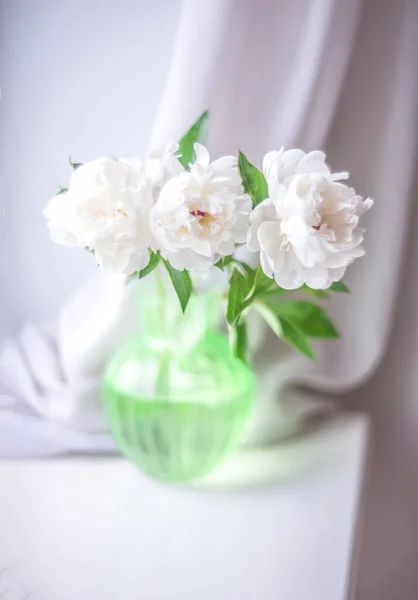 Trois Pivoines Blanches Dans Vase Vert Sur Fond Clair Flou — Photo