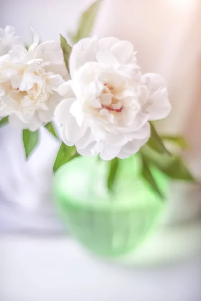 Trois Pivoines Blanches Dans Vase Vert Sur Fond Clair Flou — Photo