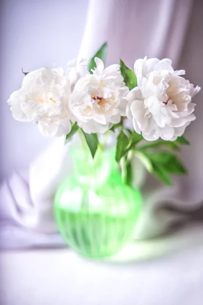 Trois Pivoines Blanches Dans Vase Vert Sur Fond Clair Flou — Photo