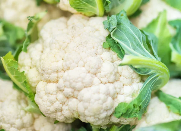 Group Cauliflower Green Leaves Fresh Cabbage Farm Field Organic Food – stockfoto