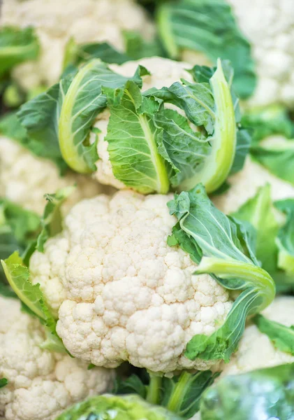 Group of cauliflower with green leaves. Fresh cabbage from a farm field. Organic food. Retail trade in agriculture. Farmer's food. (Selective focus)