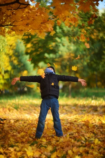 boy throws up yellow leaves on a background of autumn landscape