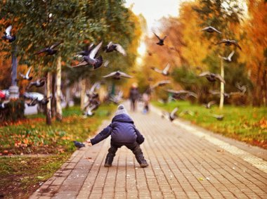 Oğlanlar ve güvercinler sonbahar parkında bulanık bir arkaplanda